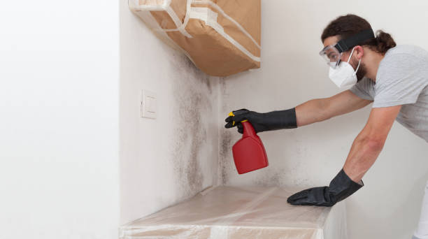 Professional Bathroom Mold Removal technician working in Pomfret, MD